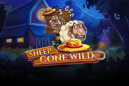 Sheep Gone Wild