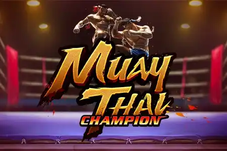 Muay Thai Champion