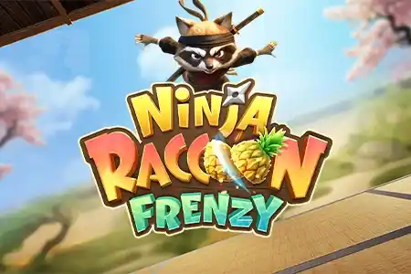 Ninja Raccoon Frenzy