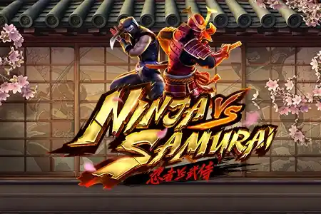 Ninja vs Samurai