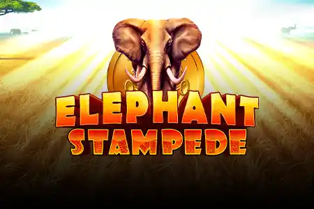 Elephant Stampede