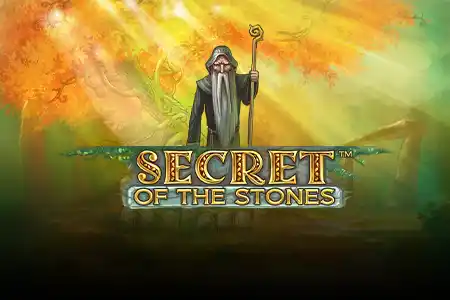 Secret of the Stones